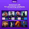 Roku Streaming Platform Image