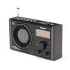Tecsun CR-1100 DSP AM/FM Stereo Radio - Buy at TMGDeals.com
