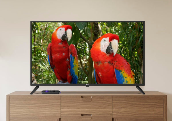 Roku 40