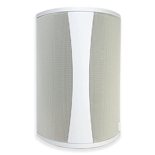 Definitive Technology Outdoor Speaker - 6.5-inch Woofer, 200 Watts, Built for Extreme Weather