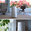 LEVOIT Air Purifier for Home Large Room with H13 True HEPA Filter - Shop at tmgdeals.com Online Store